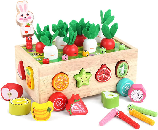 Montessori Garden Shape Sorter