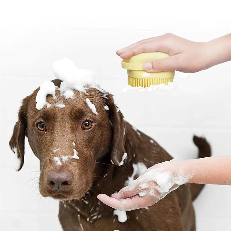 Puppy Bath Massage